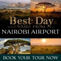 Day Tours From Nairobi Airport for Stopover Travelers