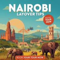 Nairobi Layover: Tips & Tricks